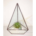 Kwadratowa szklana sadzarka do terrarium w stylu terrarium